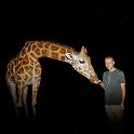 002 Kenia, Nairobi, Giraffe Manor